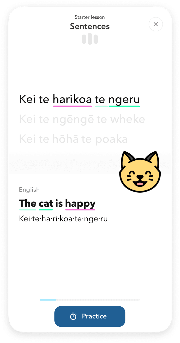 Te Reo Māori